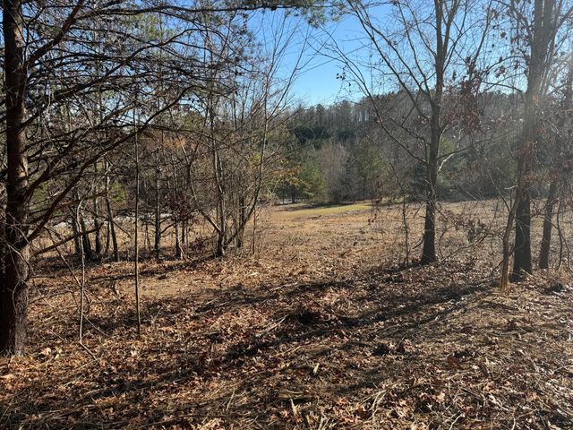 00 Majestic Heights, Ringgold, GA 30736