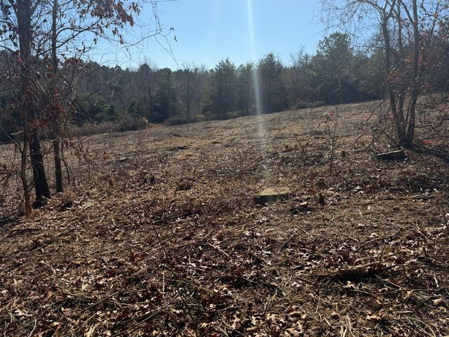 00 Majestic Heights, Ringgold, GA 30736