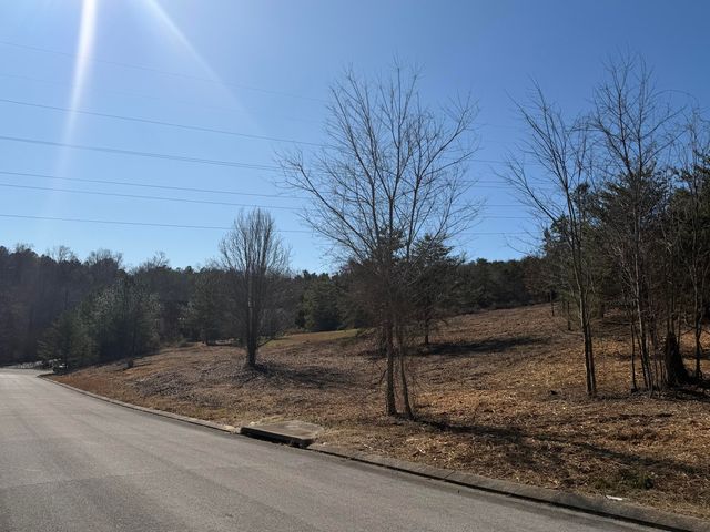 00 Majestic Heights, Ringgold, GA 30736