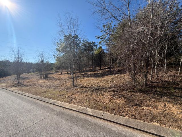 00 Majestic Heights, Ringgold, GA 30736