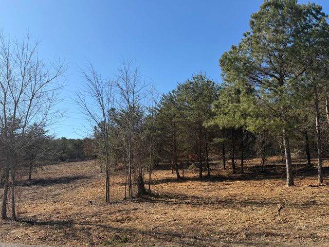 00 Majestic Heights, Ringgold, GA 30736