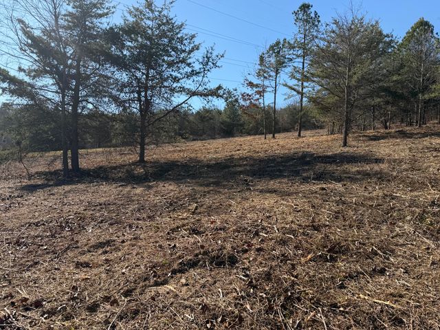 00 Majestic Heights, Ringgold, GA 30736
