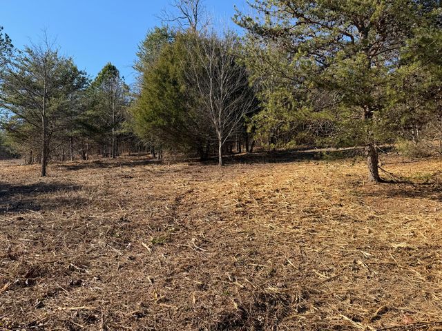 00 Majestic Heights, Ringgold, GA 30736