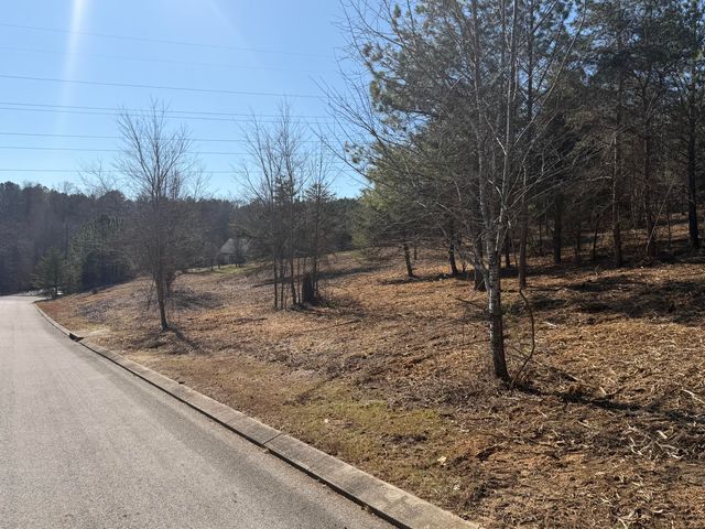 00 Majestic Heights, Ringgold, GA 30736