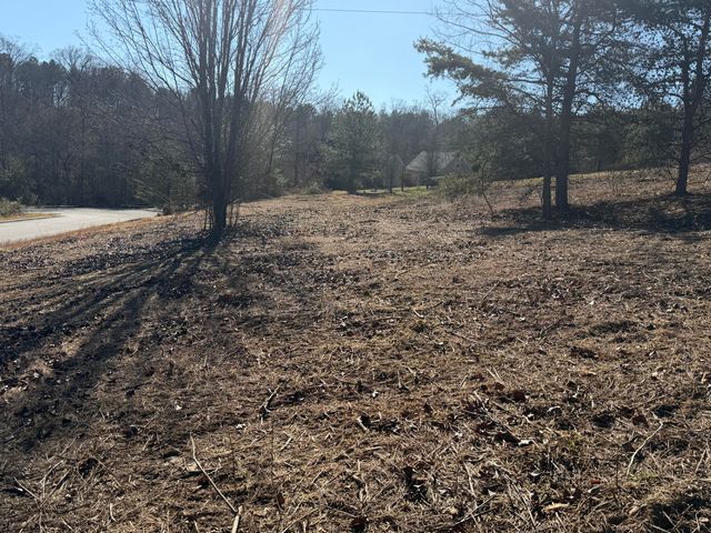 00 Majestic Heights, Ringgold, GA 30736