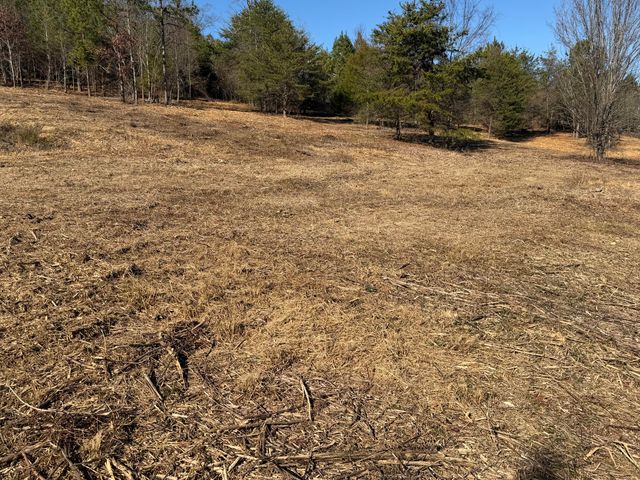 00 Majestic Heights, Ringgold, GA 30736