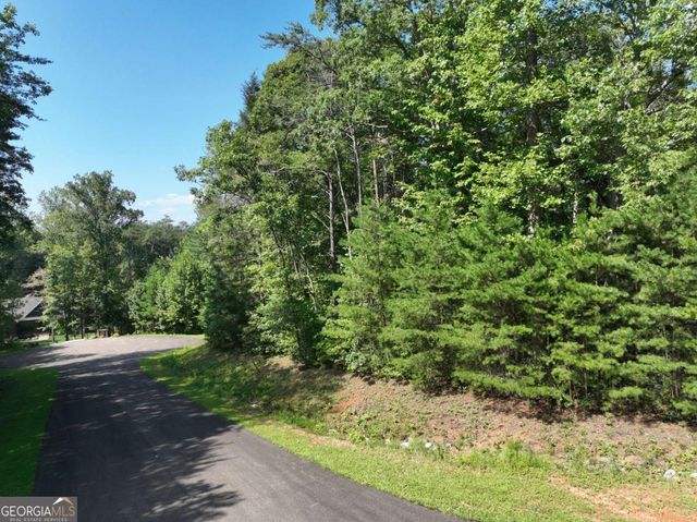 142R Autumn Fern Lane, Ellijay, GA 30536