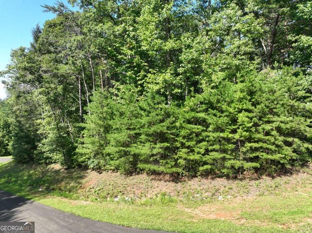 142R Autumn Fern Lane, Ellijay, GA 30536