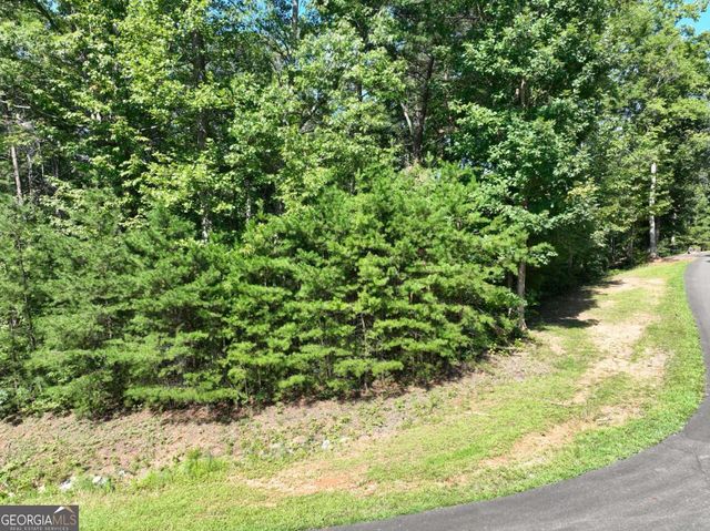 142R Autumn Fern Lane, Ellijay, GA 30536