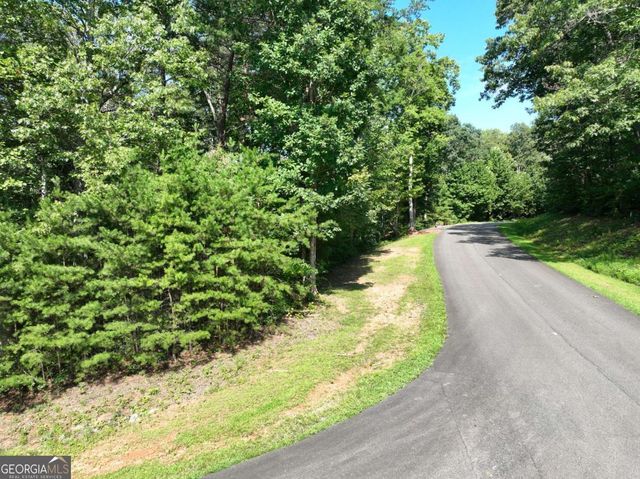 142R Autumn Fern Lane, Ellijay, GA 30536