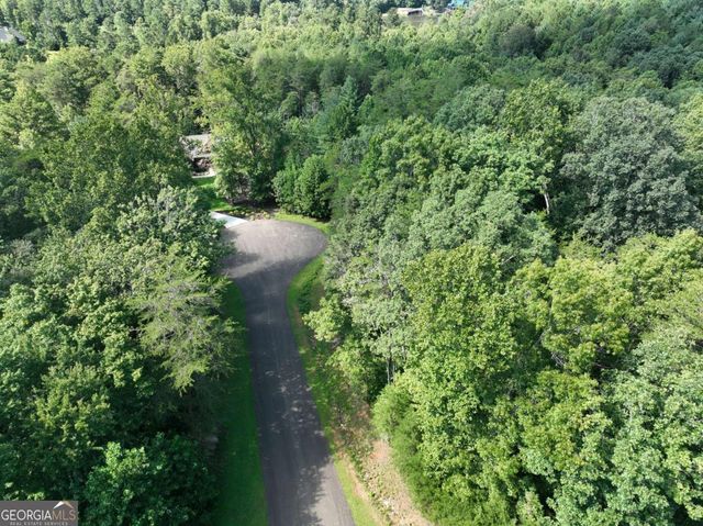 142R Autumn Fern Lane, Ellijay, GA 30536