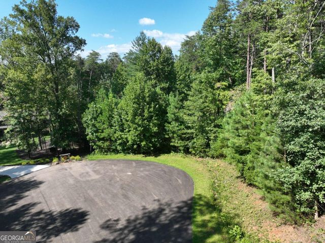 142R Autumn Fern Lane, Ellijay, GA 30536