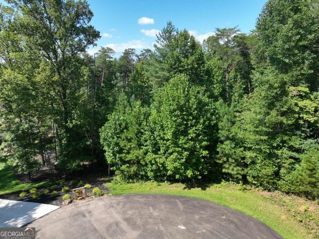 142R Autumn Fern Lane, Ellijay, GA 30536
