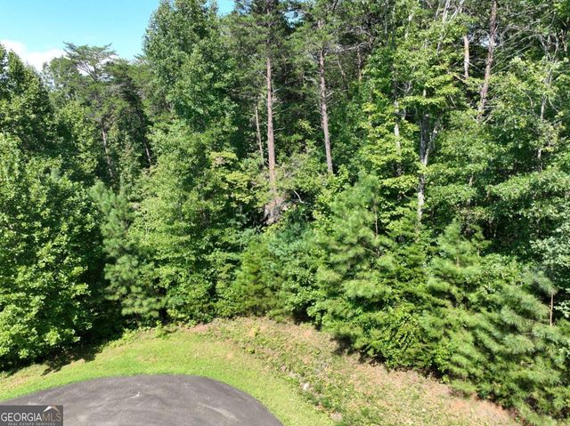 142R Autumn Fern Lane, Ellijay, GA 30536