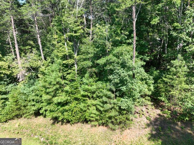 142R Autumn Fern Lane, Ellijay, GA 30536