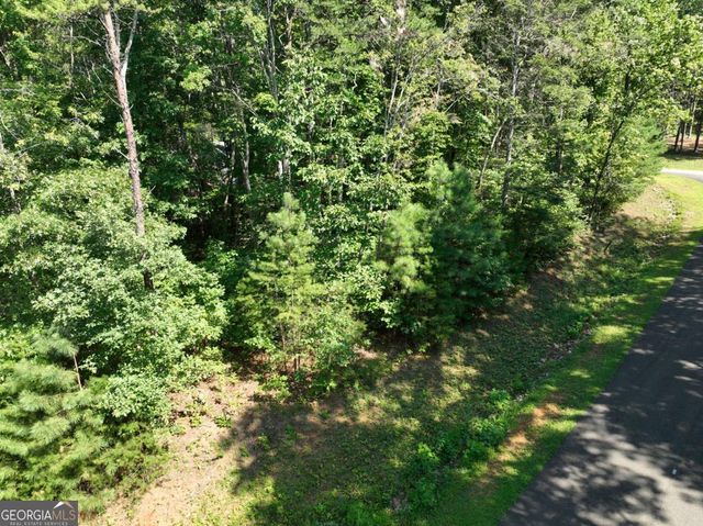 142R Autumn Fern Lane, Ellijay, GA 30536