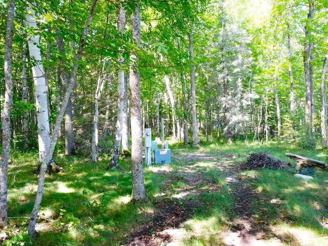 16779 Angle Shoreline, Angle Inlet, MN 56711