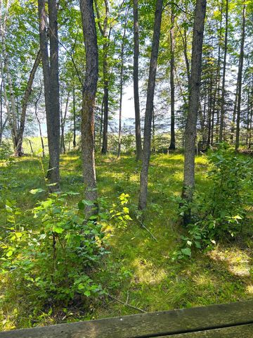 16779 Angle Shoreline, Angle Inlet, MN 56711