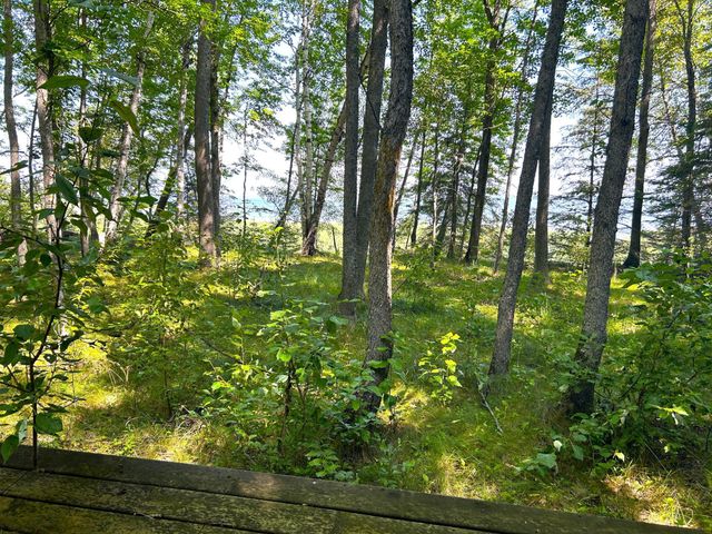 16779 Angle Shoreline, Angle Inlet, MN 56711