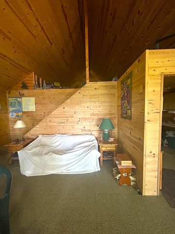 16779 Angle Shoreline, Angle Inlet, MN 56711