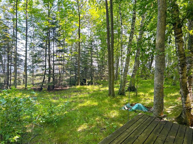 16779 Angle Shoreline, Angle Inlet, MN 56711