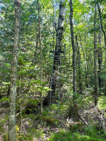 16779 Angle Shoreline, Angle Inlet, MN 56711