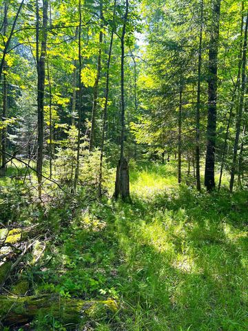 16779 Angle Shoreline, Angle Inlet, MN 56711