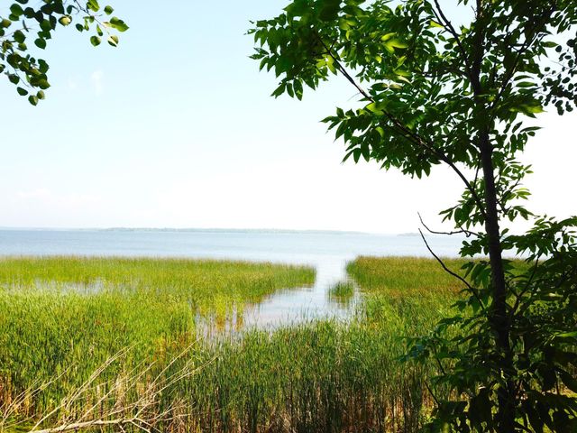 16779 Angle Shoreline, Angle Inlet, MN 56711