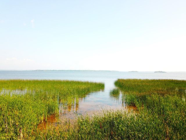 16779 Angle Shoreline, Angle Inlet, MN 56711