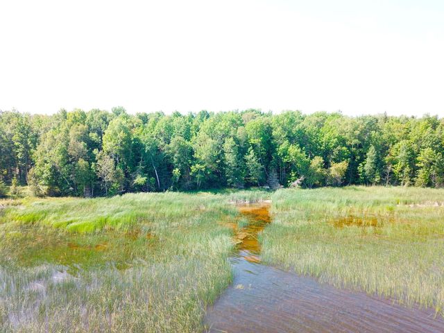 16779 Angle Shoreline, Angle Inlet, MN 56711