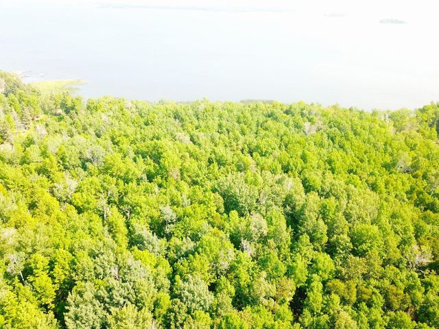 16779 Angle Shoreline, Angle Inlet, MN 56711