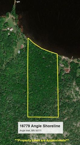 16779 Angle Shoreline, Angle Inlet, MN 56711