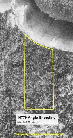 16779 Angle Shoreline, Angle Inlet, MN 56711