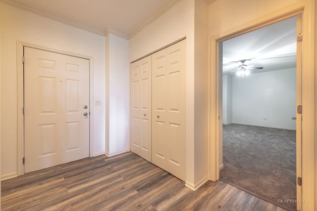 520 N Halsted Street 516, Chicago, IL 60642