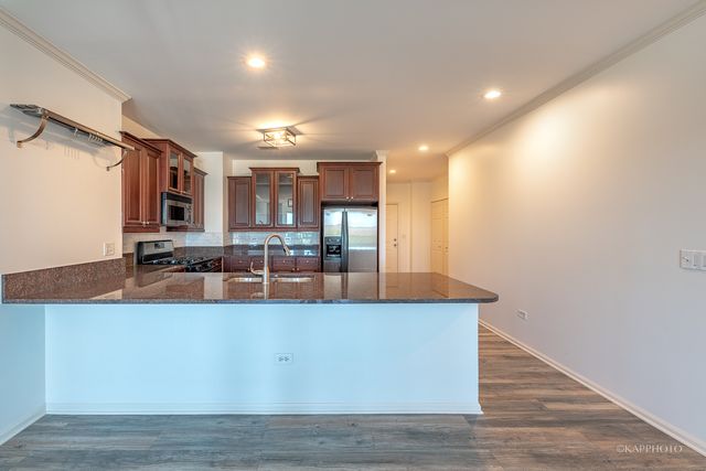 520 N Halsted Street 516, Chicago, IL 60642