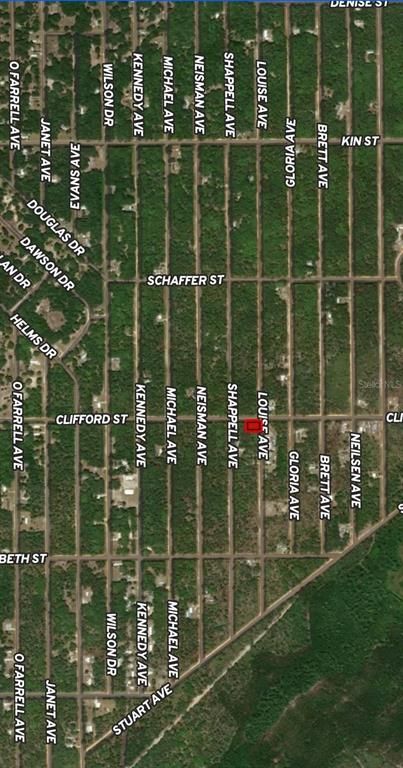 LOT 36 LOUISE AVENUE, Interlachen, FL 32148