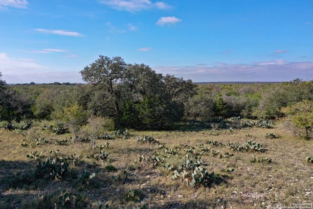 00 Fm 462 N, Hondo, TX 78861