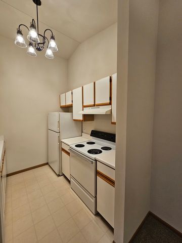 1435 Spring Brook Court 2B, Round Lake Beach, IL 60073