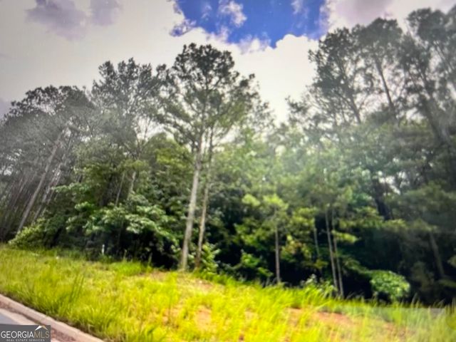 1058 Waverly Drive, Griffin, GA 30224