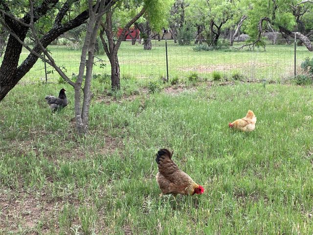 5002 Meadow Drive, Abilene, TX 79606