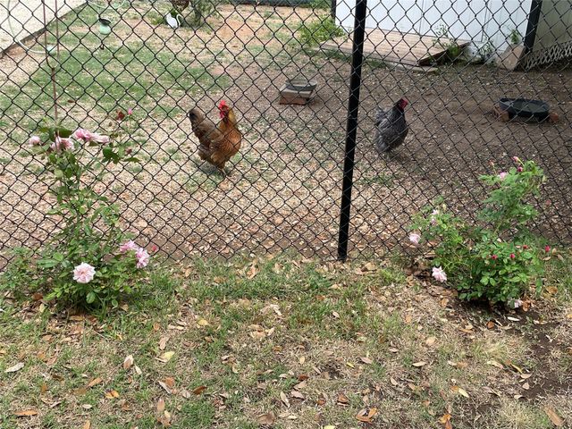 5002 Meadow Drive, Abilene, TX 79606