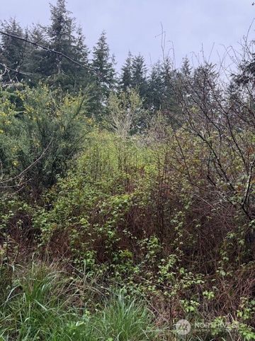 5 NKA 30th Street, Port Townsend, WA 98368