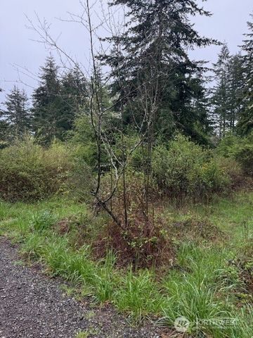 5 NKA 30th Street, Port Townsend, WA 98368