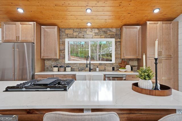 155 Doe Run, Ellijay, GA 30540