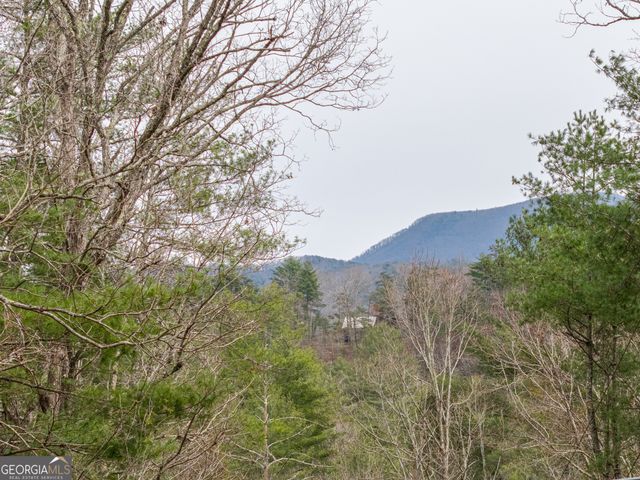155 Doe Run, Ellijay, GA 30540