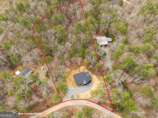 155 Doe Run, Ellijay, GA 30540