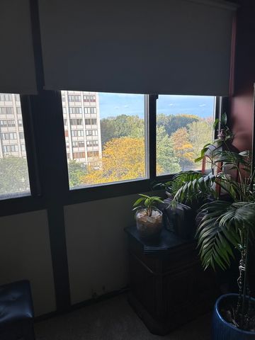 4850 S LAKE PARK Avenue 702B, Chicago, IL 60615