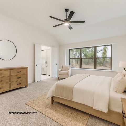 324 Skeen Peak, Springtown, TX 76082