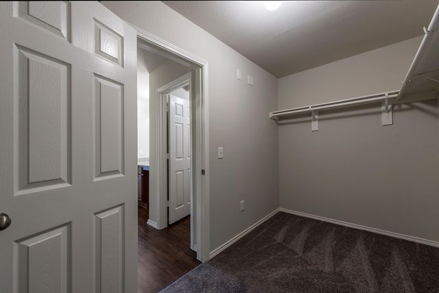 277 Stalwart Hill Trail, Magnolia, TX 77354