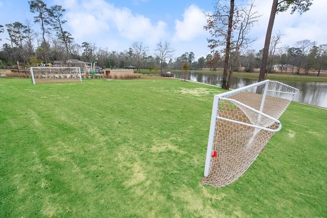 277 Stalwart Hill Trail, Magnolia, TX 77354